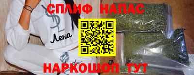 гашик Волжский