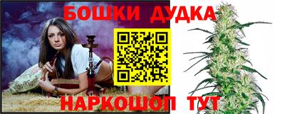 гашик Волжский